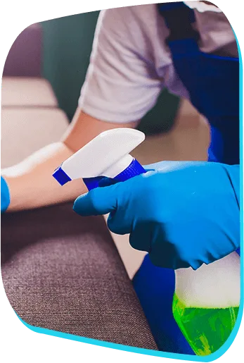 Cleaning Sofa